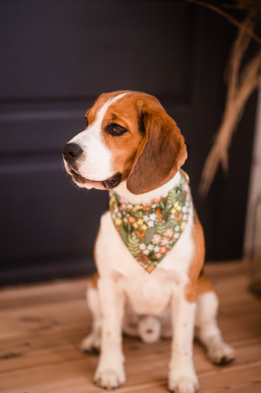 Eu dog outlet bandana